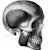 skull